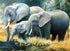 Elephant Family Drinking Water